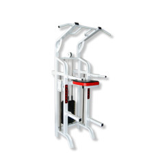 Фитнес станция RN-Sport HAUKKA K268